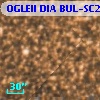 OGLEII DIA BUL-SC20    749