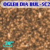 OGLEII DIA BUL-SC20    906