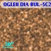 OGLEII DIA BUL-SC20    970