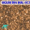 OGLEII DIA BUL-SC20    973