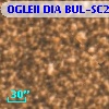 OGLEII DIA BUL-SC20    999