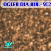 OGLEII DIA BUL-SC20   1027