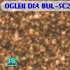 OGLEII DIA BUL-SC20   1310