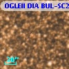 OGLEII DIA BUL-SC20   1341