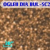 OGLEII DIA BUL-SC20   1353