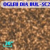 OGLEII DIA BUL-SC20   1598
