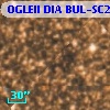 OGLEII DIA BUL-SC20   1660