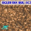 OGLEII DIA BUL-SC20   1771