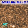 OGLEII DIA BUL-SC20   2094