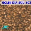 OGLEII DIA BUL-SC20   2145