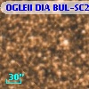 OGLEII DIA BUL-SC20   2258