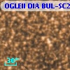 OGLEII DIA BUL-SC20   2349