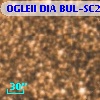 OGLEII DIA BUL-SC20   2559