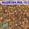 OGLEII DIA BUL-SC20   2597