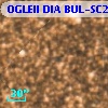 OGLEII DIA BUL-SC20   2657