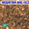 OGLEII DIA BUL-SC20   3071