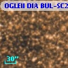 OGLEII DIA BUL-SC20   3115