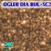 OGLEII DIA BUL-SC20   3193