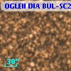 OGLEII DIA BUL-SC20   3211
