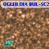 OGLEII DIA BUL-SC20   3290