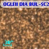 OGLEII DIA BUL-SC20   3345