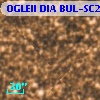 OGLEII DIA BUL-SC20   3504