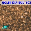 OGLEII DIA BUL-SC20   3943