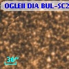 OGLEII DIA BUL-SC20   4176