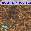 OGLEII DIA BUL-SC20   4594