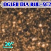 OGLEII DIA BUL-SC20   4662