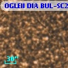 OGLEII DIA BUL-SC20   4737