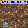 OGLEII DIA BUL-SC20   4844