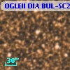 OGLEII DIA BUL-SC20   4998