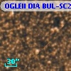 OGLEII DIA BUL-SC20   5303