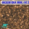OGLEII DIA BUL-SC20   5594
