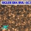OGLEII DIA BUL-SC20   5897
