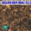 OGLEII DIA BUL-SC21    196