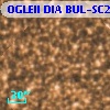 OGLEII DIA BUL-SC21   2190