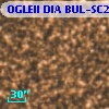 OGLEII DIA BUL-SC21   3832
