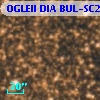 OGLEII DIA BUL-SC21   6881