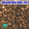 OGLEII DIA BUL-SC21   7291