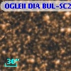 OGLEII DIA BUL-SC22   2427