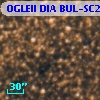 OGLEII DIA BUL-SC22   2468