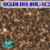 OGLEII DIA BUL-SC22   2777