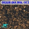 OGLEII DIA BUL-SC22   2806