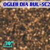 OGLEII DIA BUL-SC22   2842