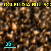 2MASS J17565640-3047130