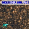 OGLEII DIA BUL-SC22   3075