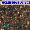 OGLEII DIA BUL-SC22   3103