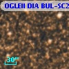 OGLEII DIA BUL-SC22   3245